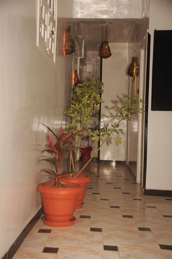 Happy Land Luxor Hostel Bagian luar foto